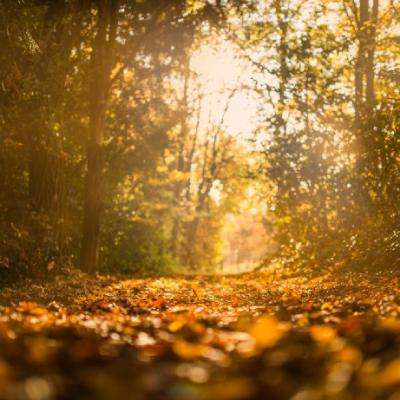 延安房产信息网